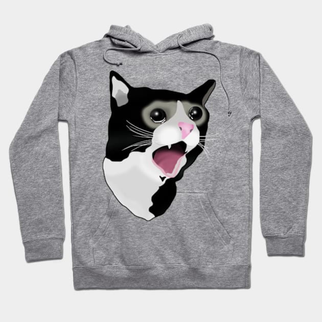 Crying Cat Meme Hoodie by Barnyardy